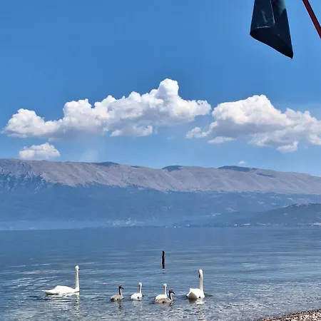 Restorant Binjaket Ξενοδοχείο *