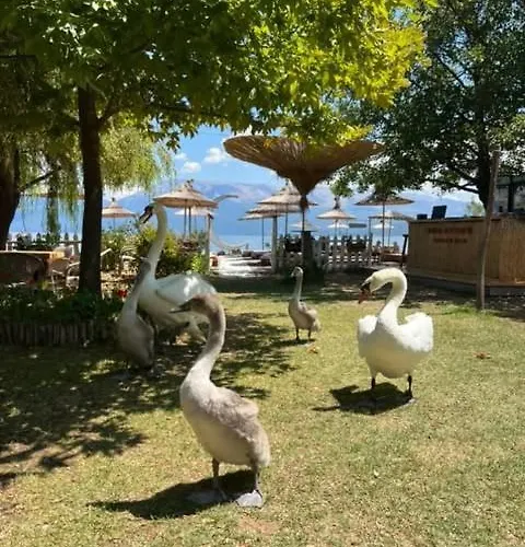 Restorant Binjaket *