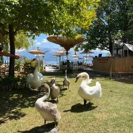 Restorant Binjaket Memlishte