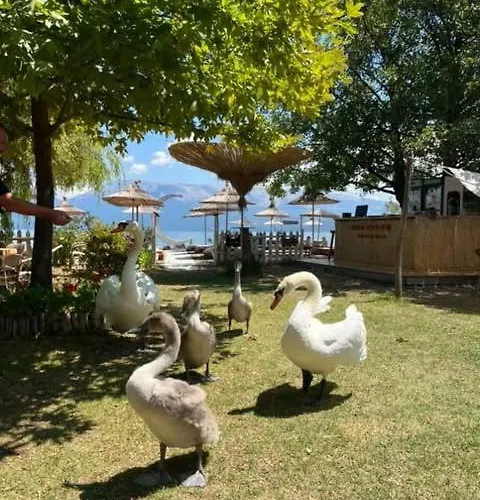 Restorant Binjaket Memlishte